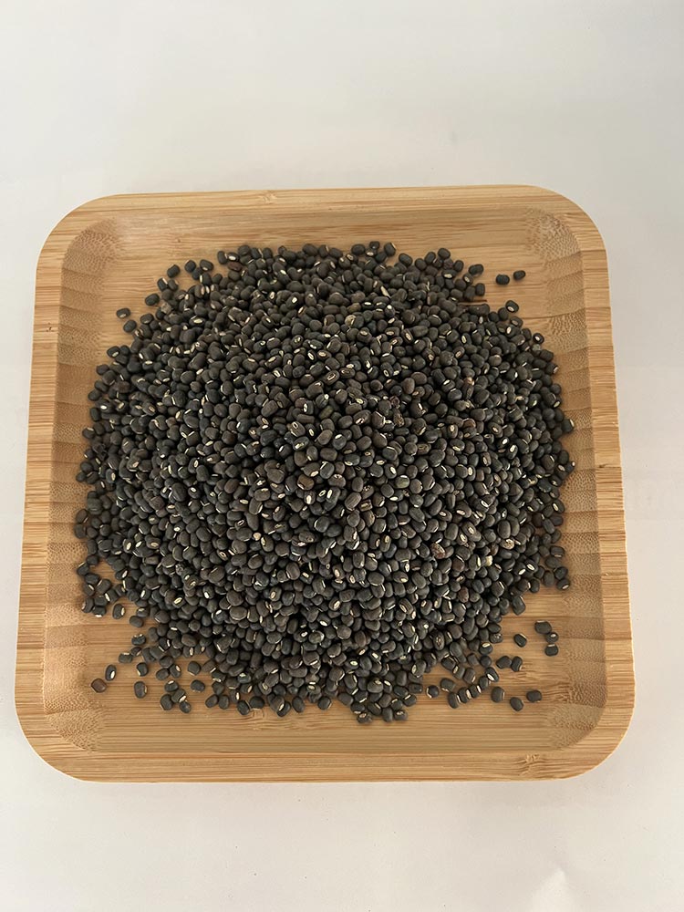 Urad (Black Gram)