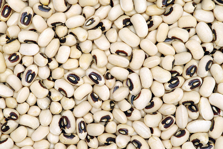 Black-Eyed Bean