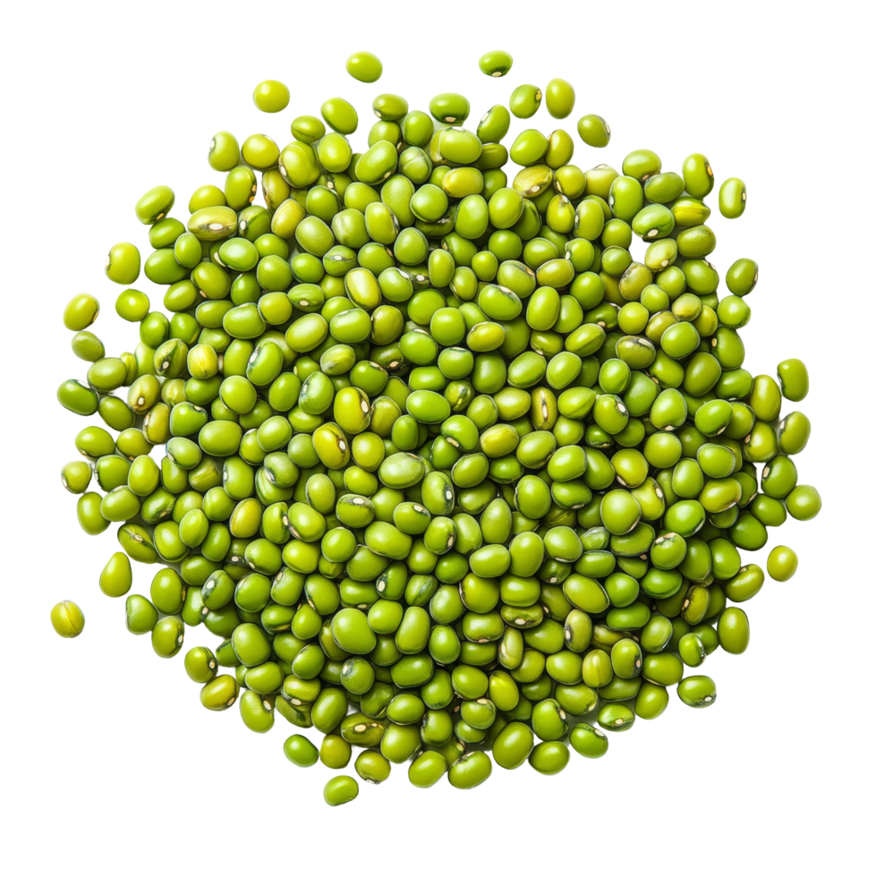 Green Mung Bean