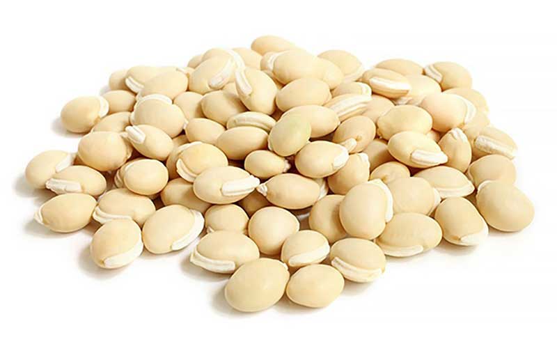 Lablab Bean (Pegyi)