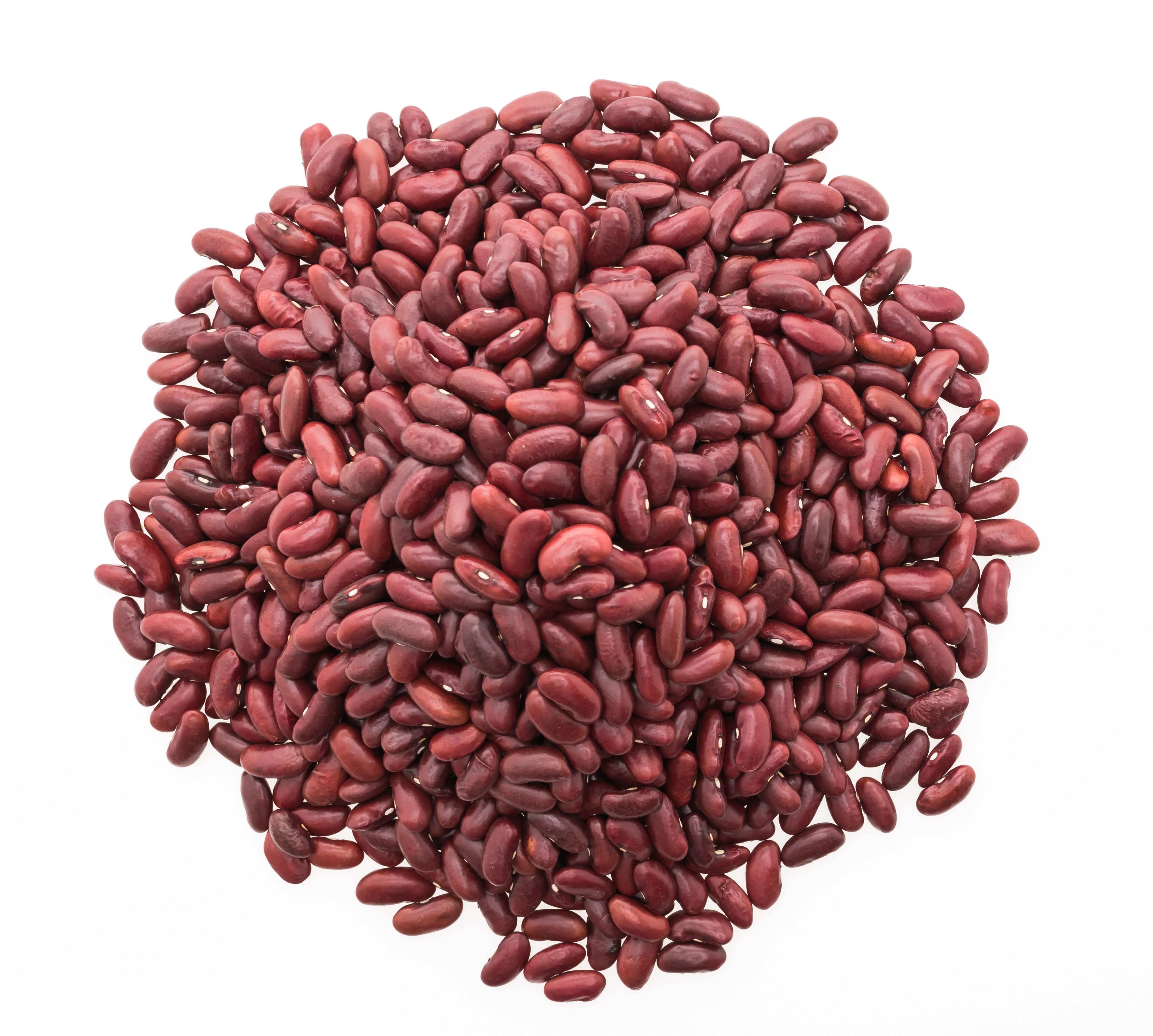Red Kidney Bean