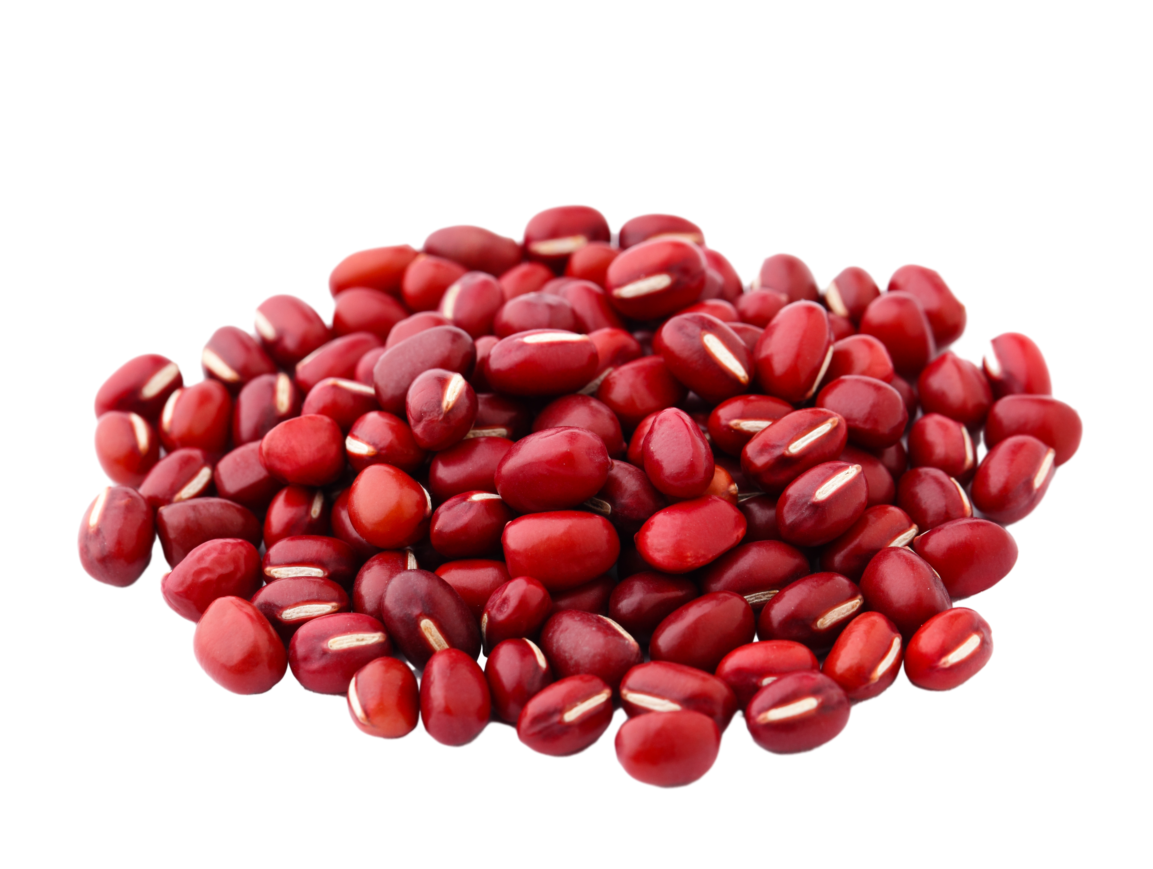 Small Red Bean