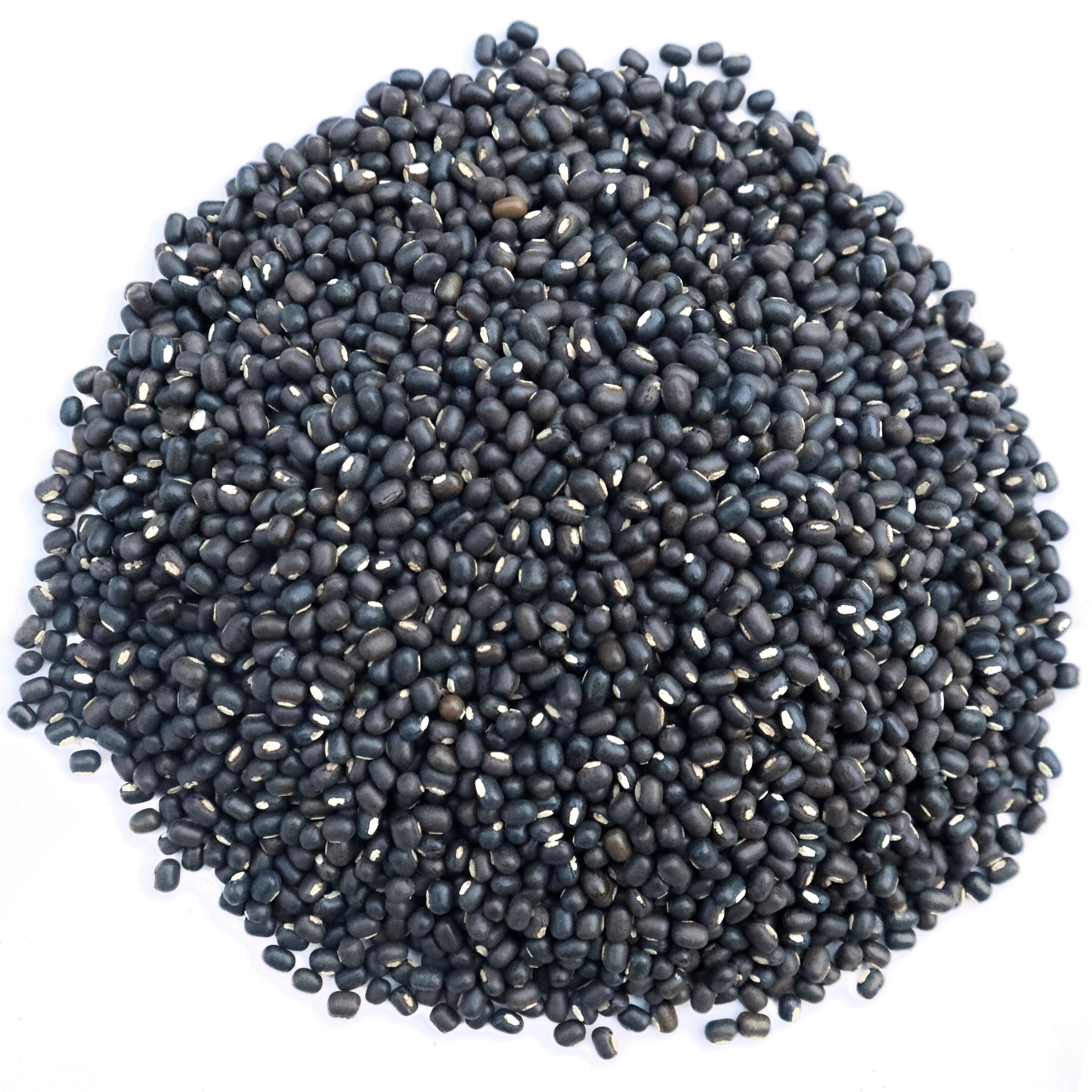 Urad Bean (Black Matpe)